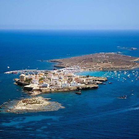 Very Lightful Apartment. Incredible Sea Views. Big Terrace, Swimming Pool. Ac. Very Close To Alicante City Center. מראה חיצוני תמונה
